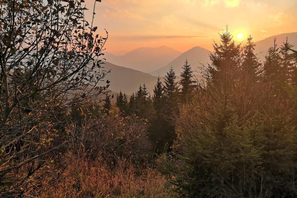 Appartment Dutzler Sankt Martin am Tennengebirge Eksteriør billede