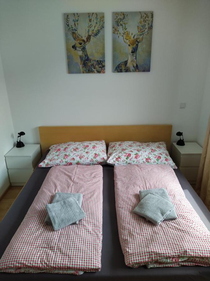 Appartment Dutzler Sankt Martin am Tennengebirge Eksteriør billede